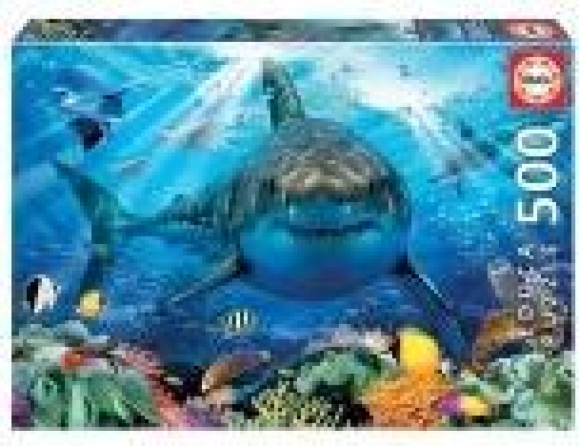 500 Great White Shark