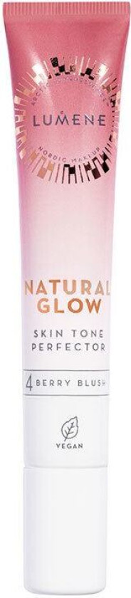 Natural Glow Skin Tone Perfector #4 Berry Blush