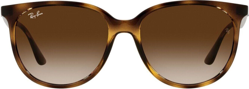 Ray-Ban 0RB4378 Annet