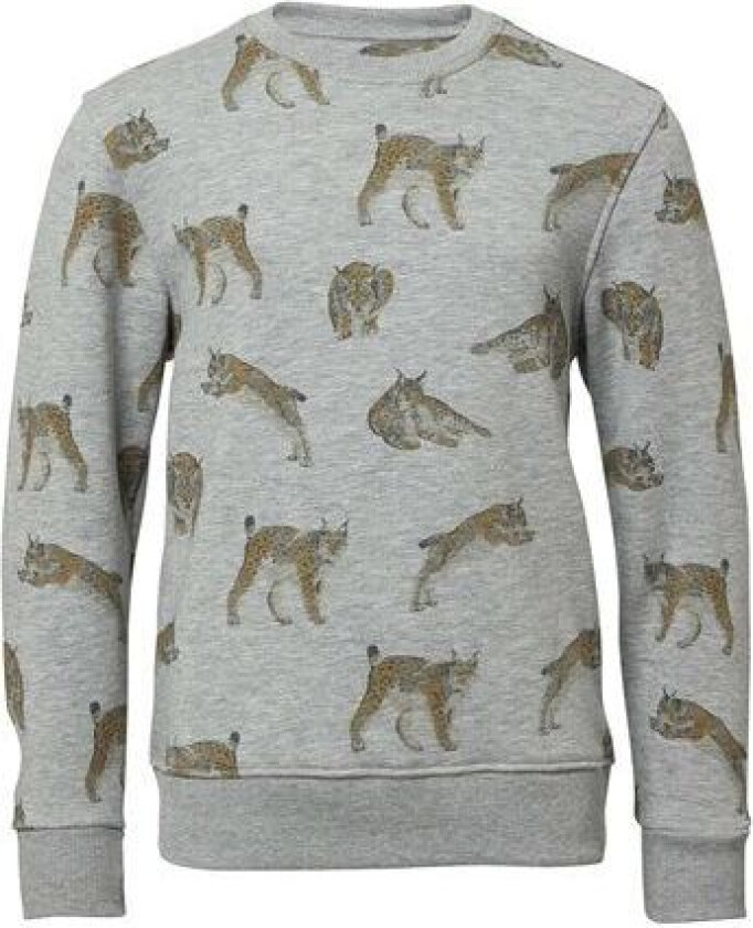 Bilde av Wildcat Sweatshirt Junior 120