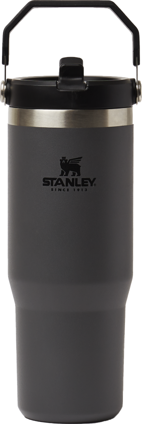 Stanley Iceflow Flip Straw