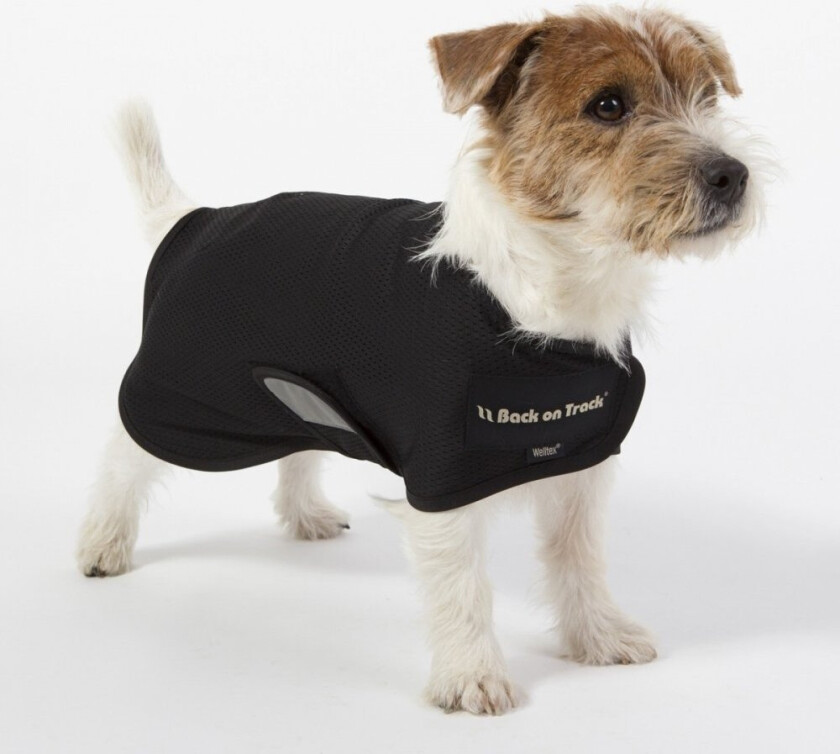 Back on Track Hugo Hundedekken Svart (41 cm)