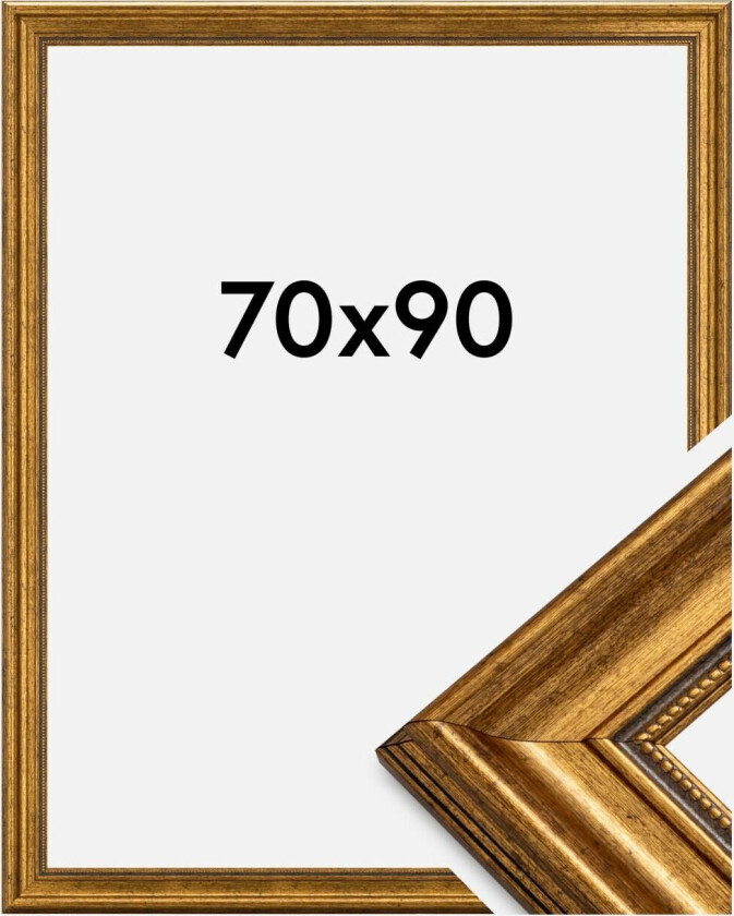 Ramme Rokoko Akrylglass Gull 70x90 Cm