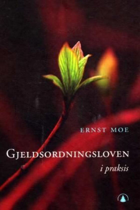 Gjeldsordningsloven i praksis av Ernst Moe
