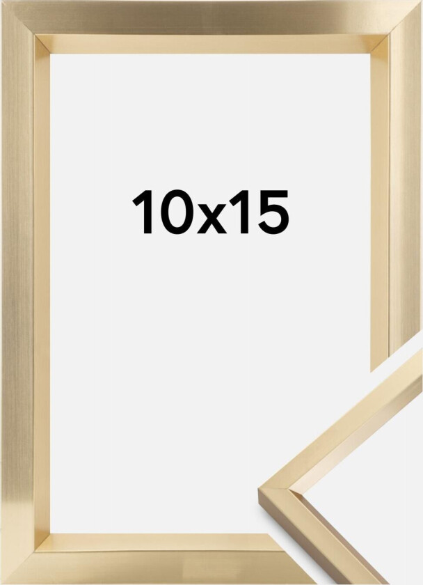 Ramme Steel Style Gull 10x15 Cm