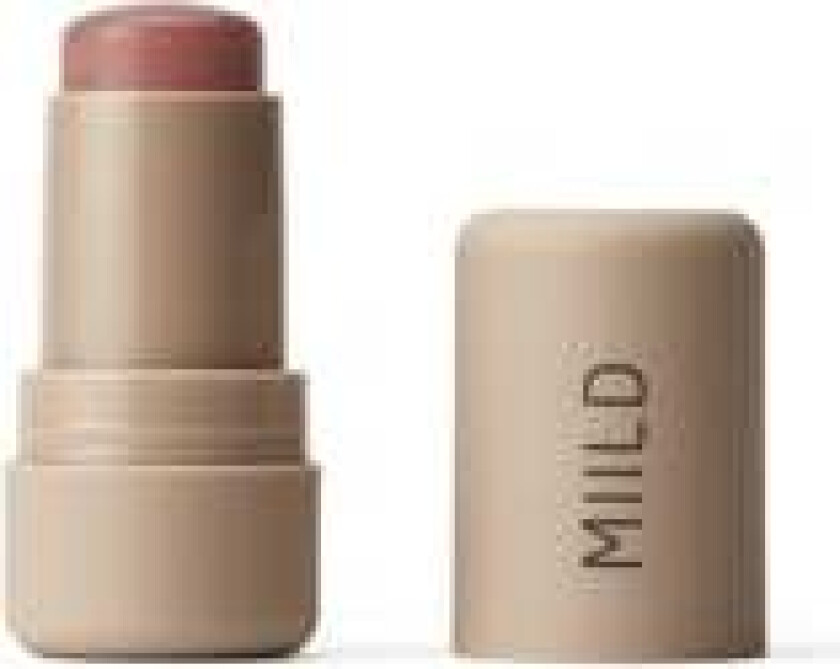 Tinted Beauty Balm 01 Dusty Rose