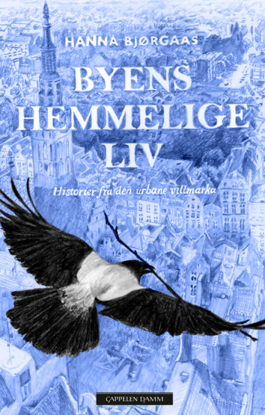 Byens hemmelige liv av Hanna Bjørgaas