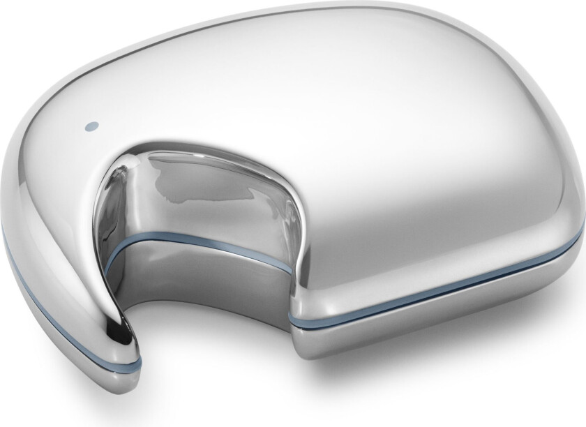 Elephant boks 7 x 10 cm Rustfritt stål-blå