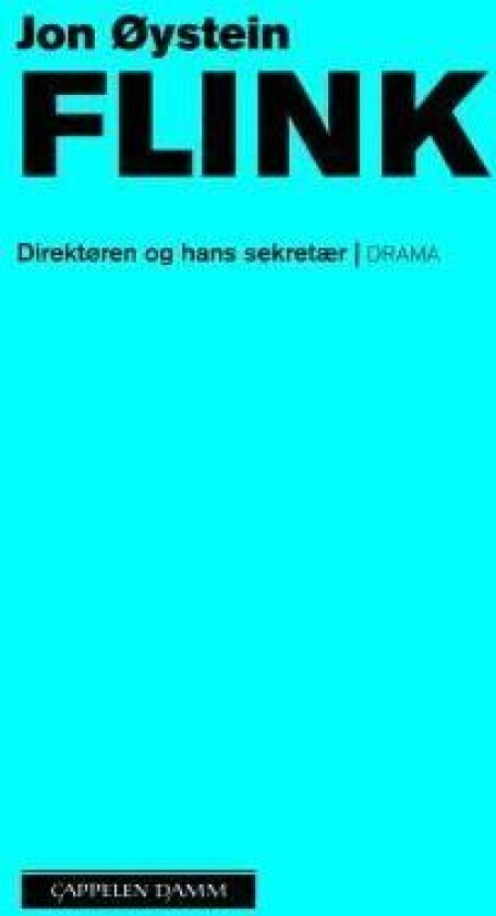 Direktøren og hans sekretær av Jon Øystein Flink