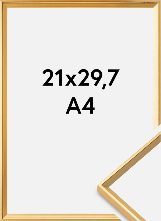 Ramme Desire Gull 21x29,7 Cm (A4)