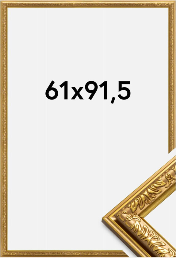 Ramme Nostalgia Gull 61x91,5 Cm