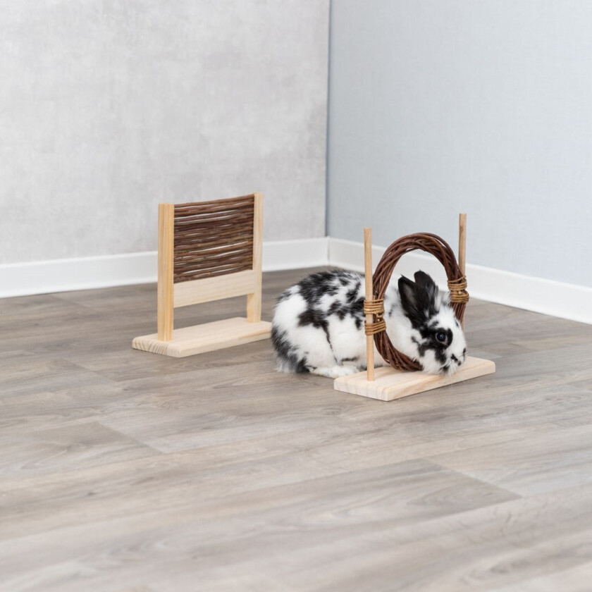 agilitysett for kaniner - 2er sett