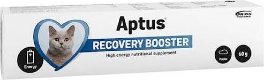 Bilde av Recovery Booster Cat 60 g