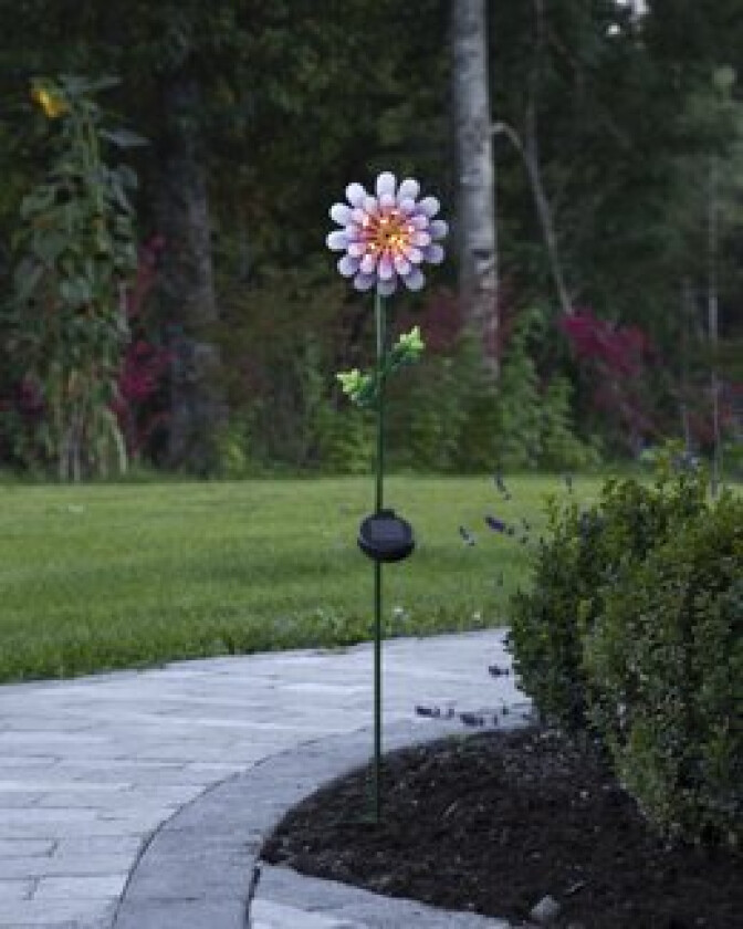 Solcelledekorasjon Pink Daisy