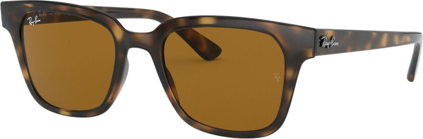 Ray-Ban 0RB4323 Multi