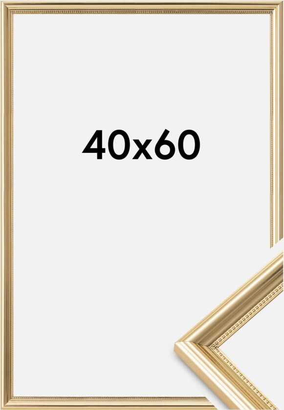 Ramme Gala Akrylglass Gull 40x60 Cm