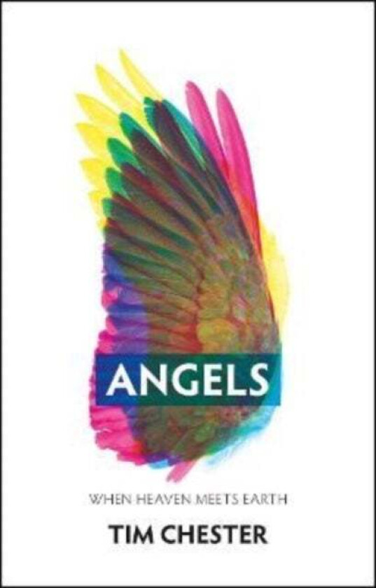 Angels av Tim Chester