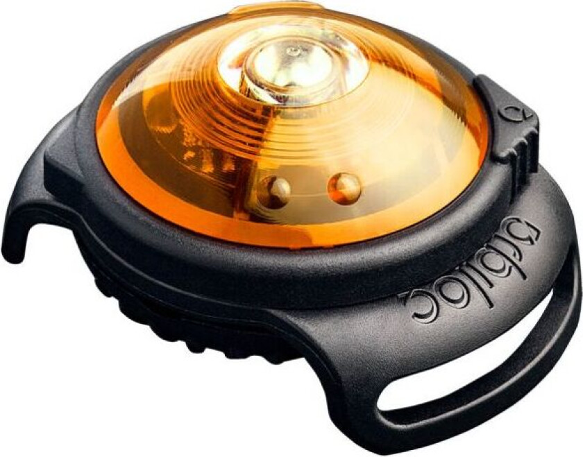 Dual LED Safety Light Gul