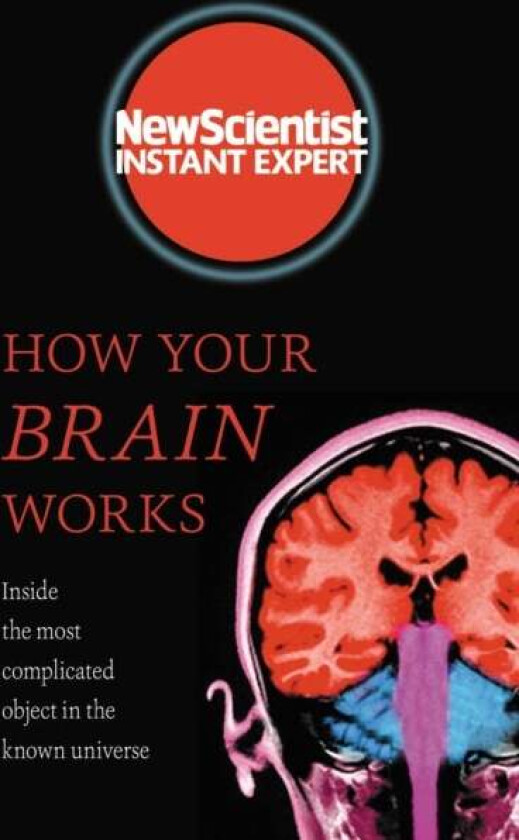 How Your Brain Works av New Scientist