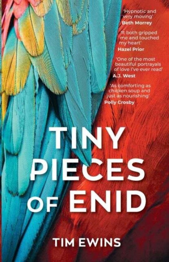 Tiny Pieces of Enid av Tim Ewins
