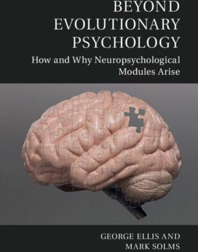 Beyond Evolutionary Psychology av George (University of Cape Town) Ellis, Mark (University of Cape Town) Solms