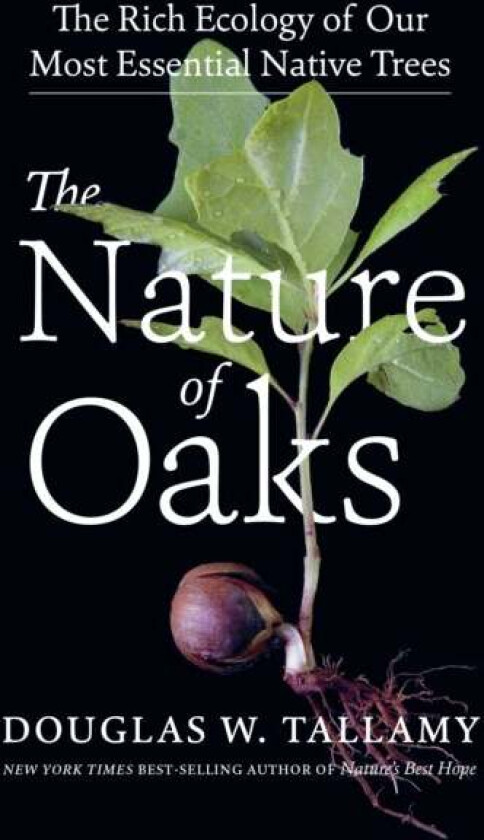 The Nature of Oaks av Douglas W. Tallamy