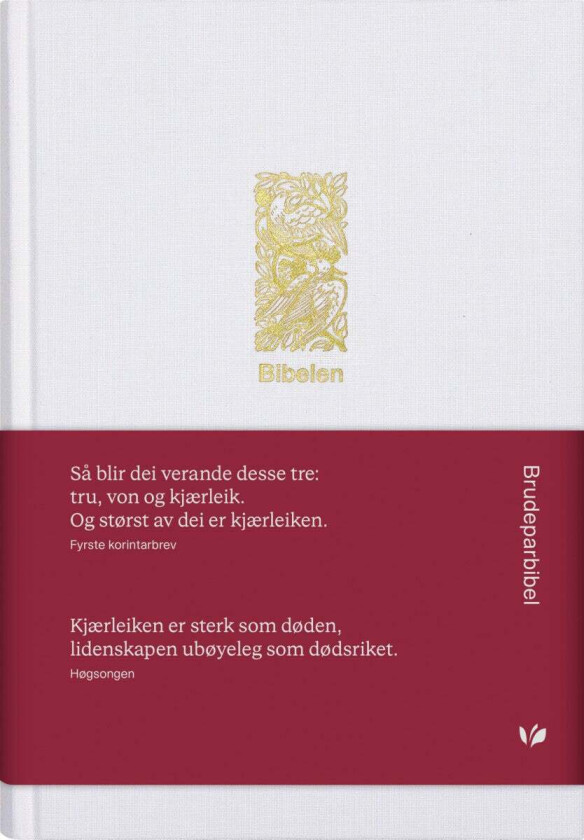 Bibel 2024