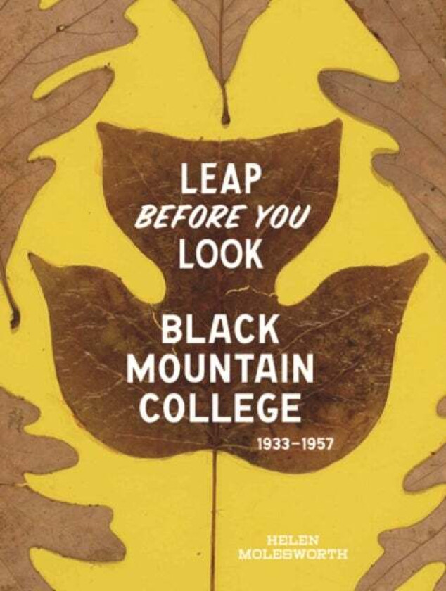Leap Before You Look av Helen Molesworth