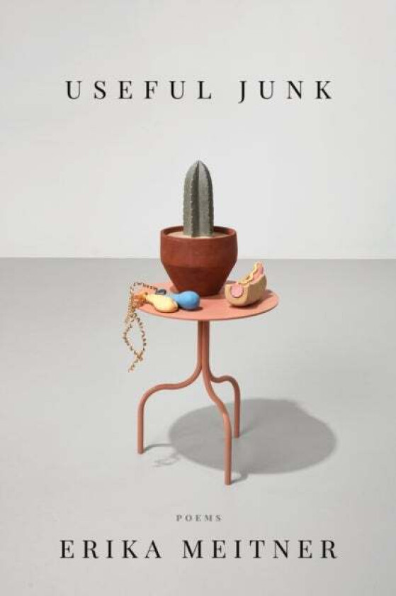Useful Junk av Erika Meitner