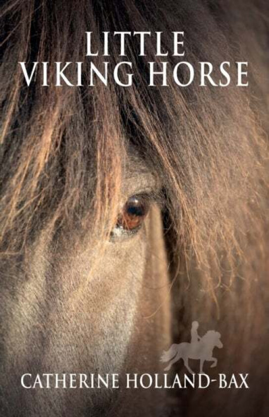 Little Viking Horse av Catherine Holland-Bax