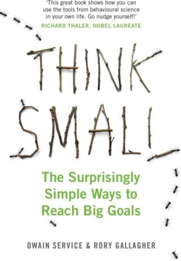 Think Small av Owain Service, Dr Rory Gallagher