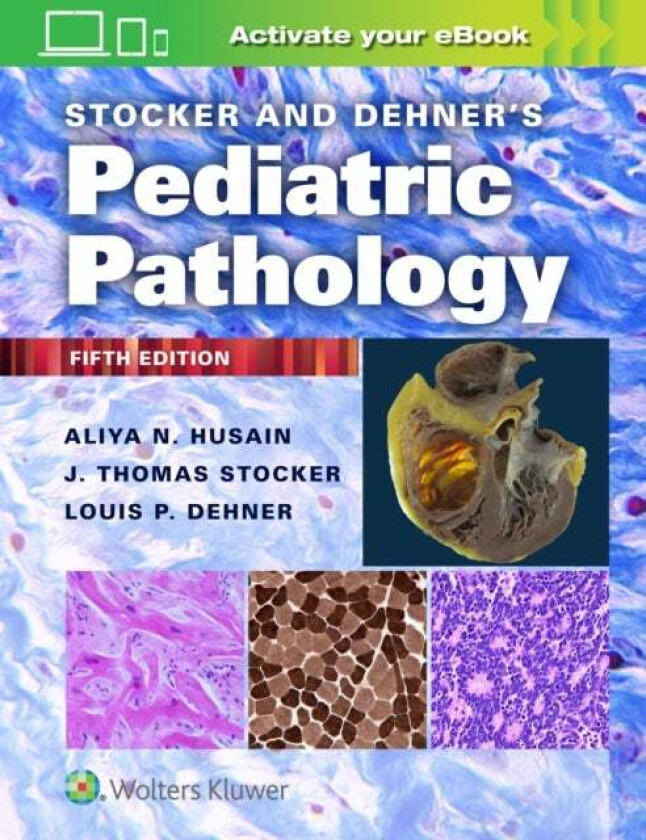 Stocker and Dehner's Pediatric Pathology av Aliya N. Husain, Louis P. Dehner