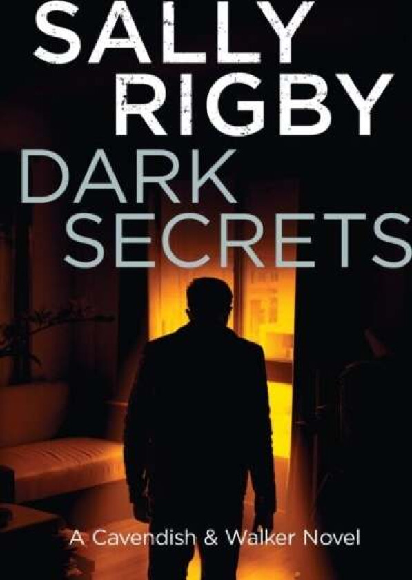 Dark Secrets av Rigby S