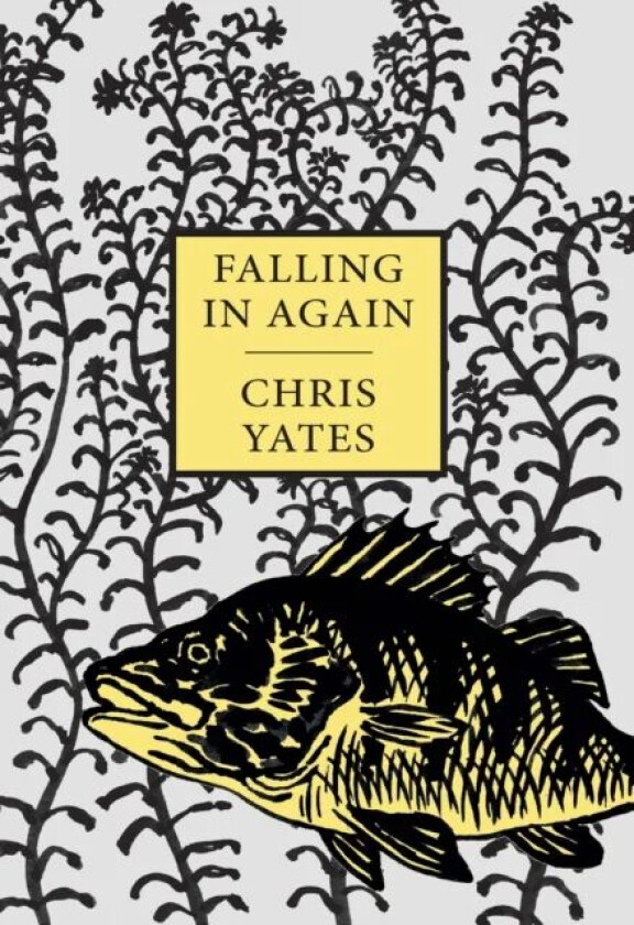 Falling in Again av Chris Yates
