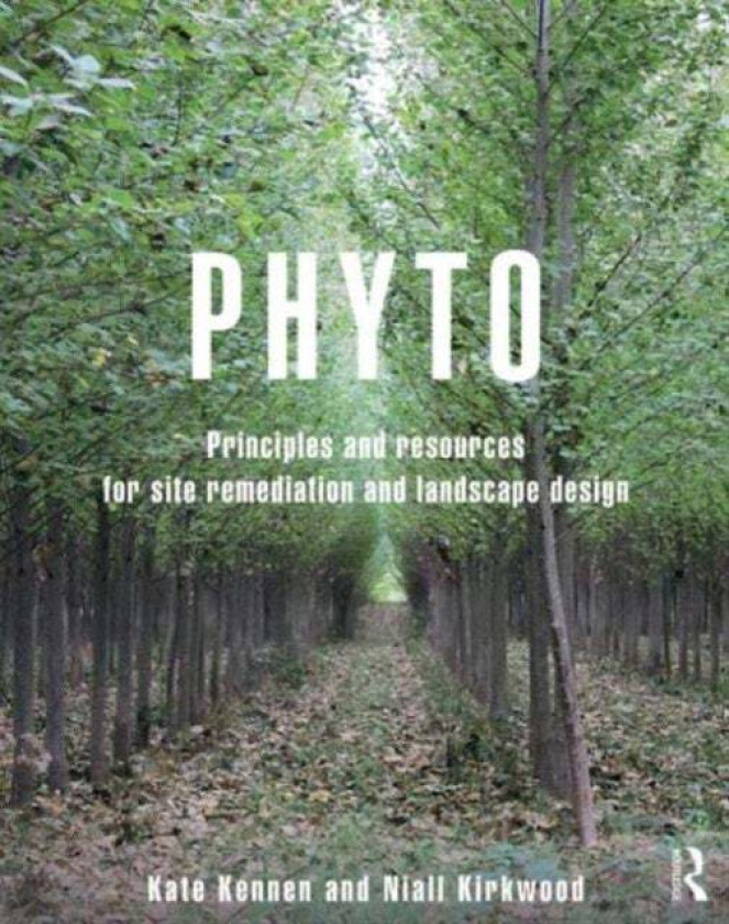 Phyto av Kate (Harvard University Cambridge Massa Kennen