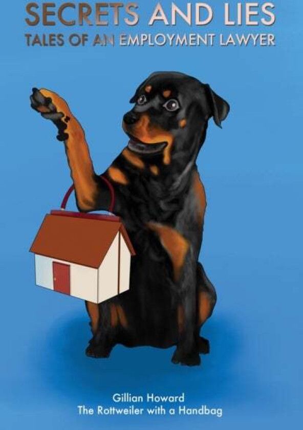 Secrets and Lies - Tales of an Employment Lawyer av Gillian Howard