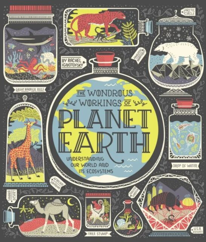 The Wondrous Workings of Planet Earth av Rachel Ignotofsky