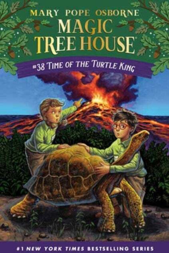 Time of the Turtle King av Mary Pope Osborne, AG Ford