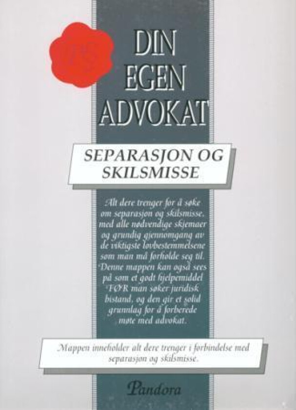 Separasjon og skilsmisse av Hans Christian Steenstrup