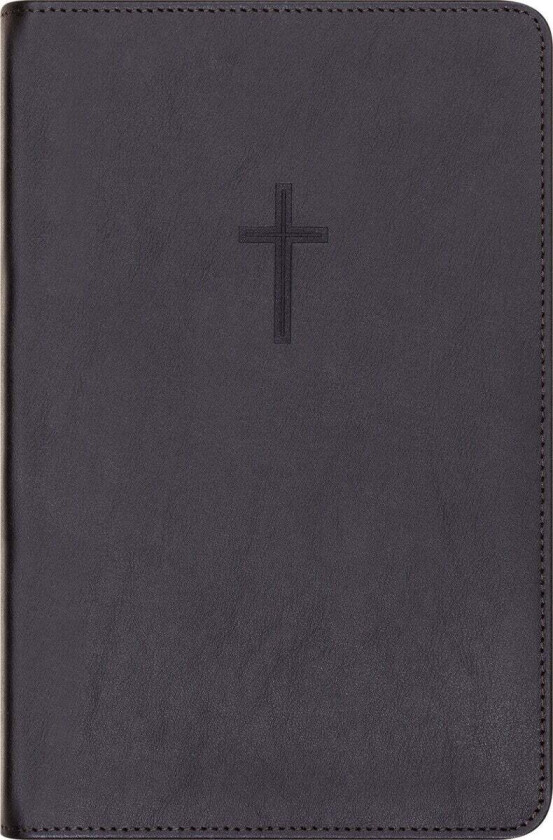 Bibel 2024
