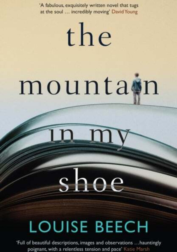 The Mountain in My Shoe av Louise Beech