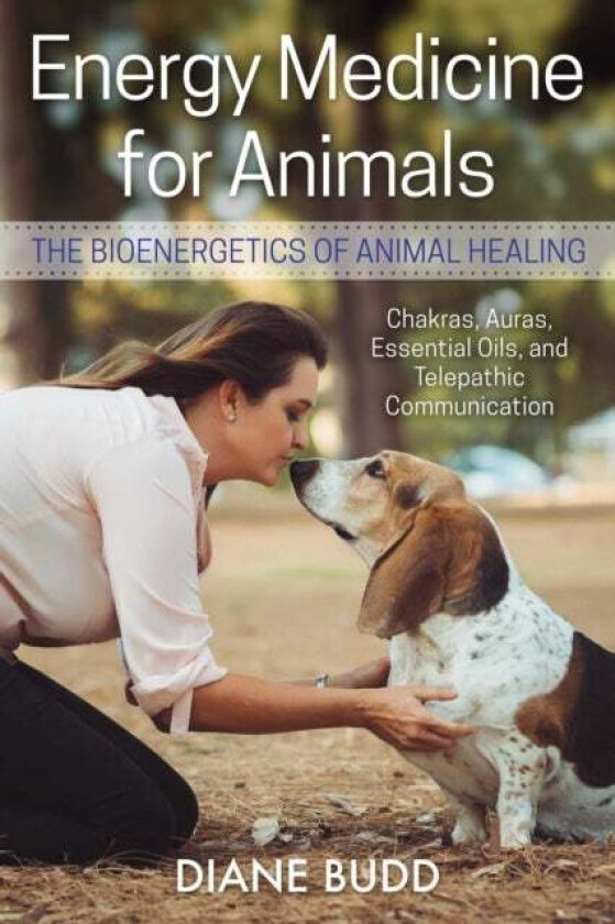 Energy Medicine for Animals av Diane Budd