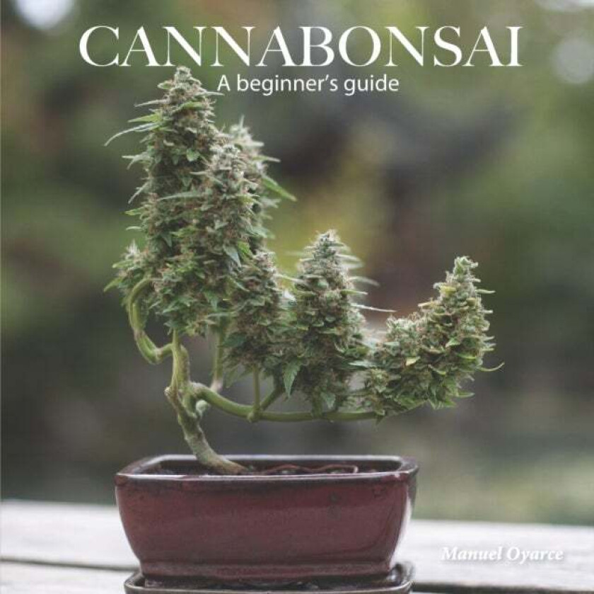 Cannabonsai av Manuel Oyarce
