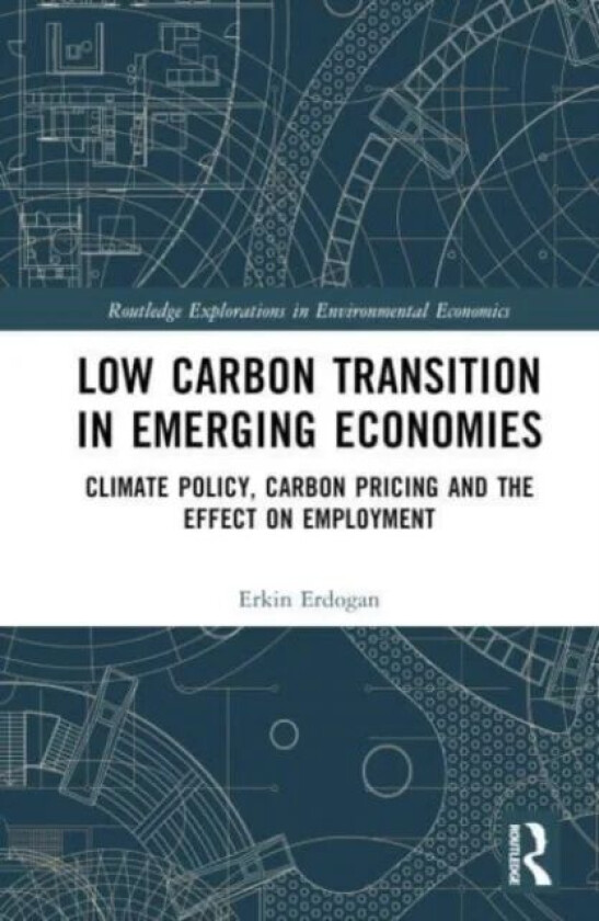 Low Carbon Transition in Emerging Economies av Erkin Erdogan