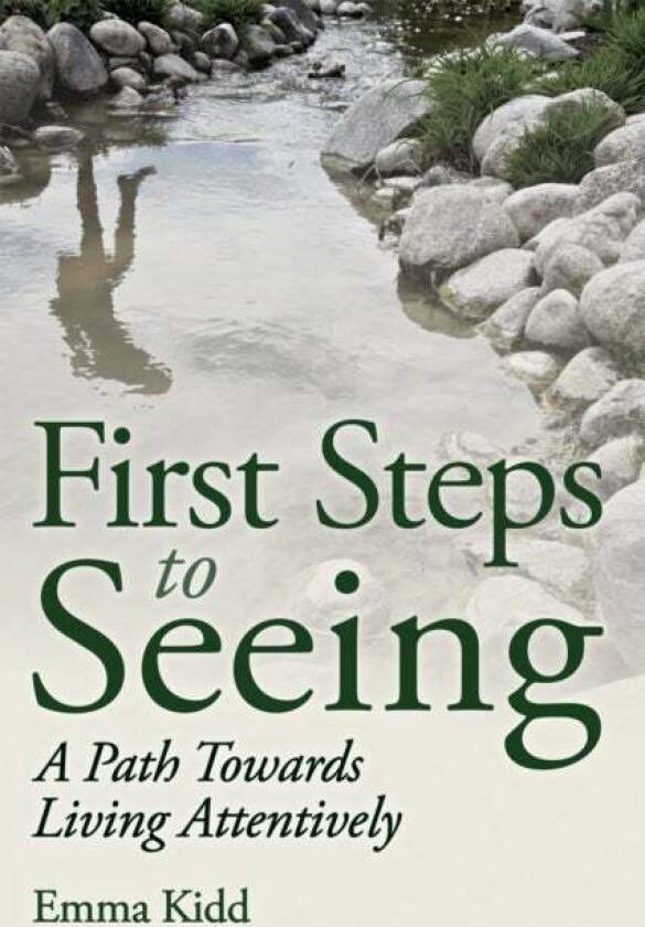 First Steps to Seeing av Emma Kidd