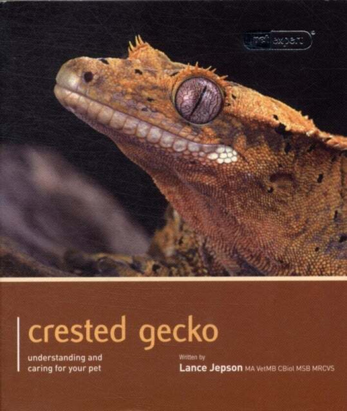 Crested Gecko - Pet Expert av Lance Jepson
