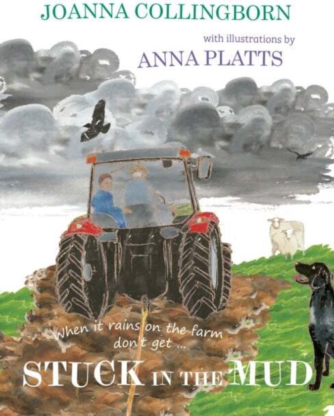 Stuck in the Mud av Joanna Collingborn