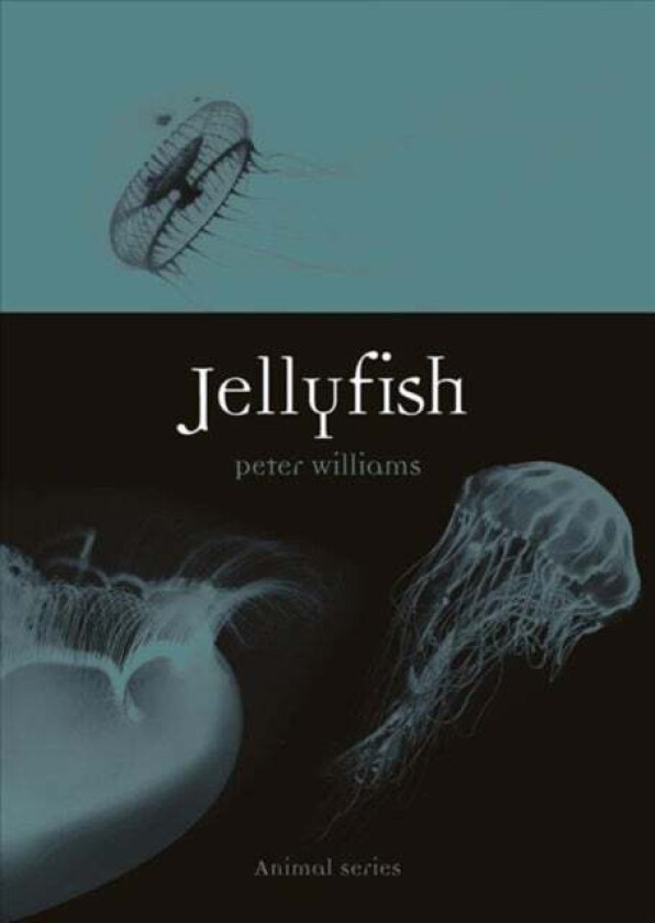 Jellyfish Av Peter Williams