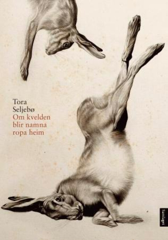 Om kvelden blir namna ropa heim av Tora Seljebø
