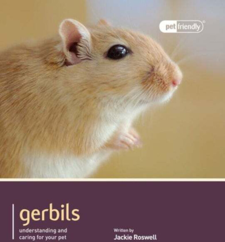Gerbils - Pet Friendly av Jackie Roswell
